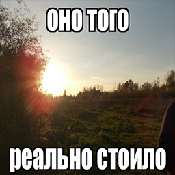 Quality of Life
